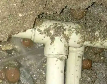 沙雅测漏水多少钱