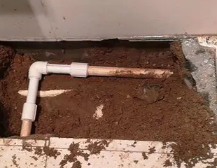 沙雅测漏水哪家好