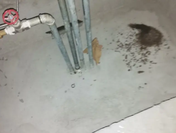 沙雅卫生间测漏水价格明细