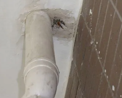 沙雅漏水检测哪家好